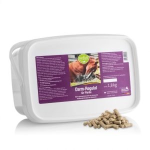 【馬用】腸道調節營養補充劑 促進健康的腸道菌叢