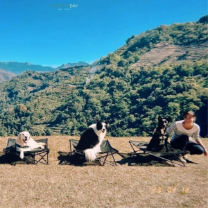 【限時特價】Pica Pica 一秒開合寵物床，飼主高回饋，適合各種地形，露營、室內、戲水，免安裝超快速