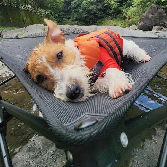 0152D9B2-C4D7-439B-B2D9-7AAB6D3CE1F0