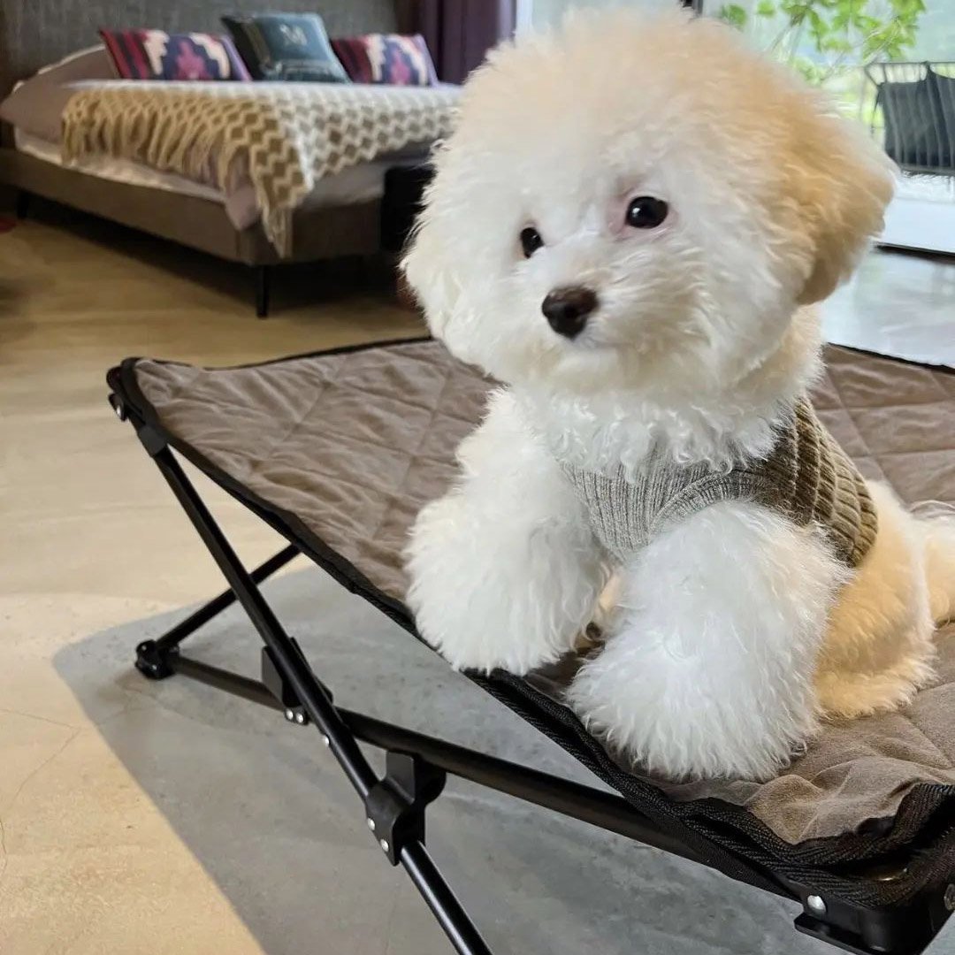 275246893_149900297494862_3656912953984587059_n