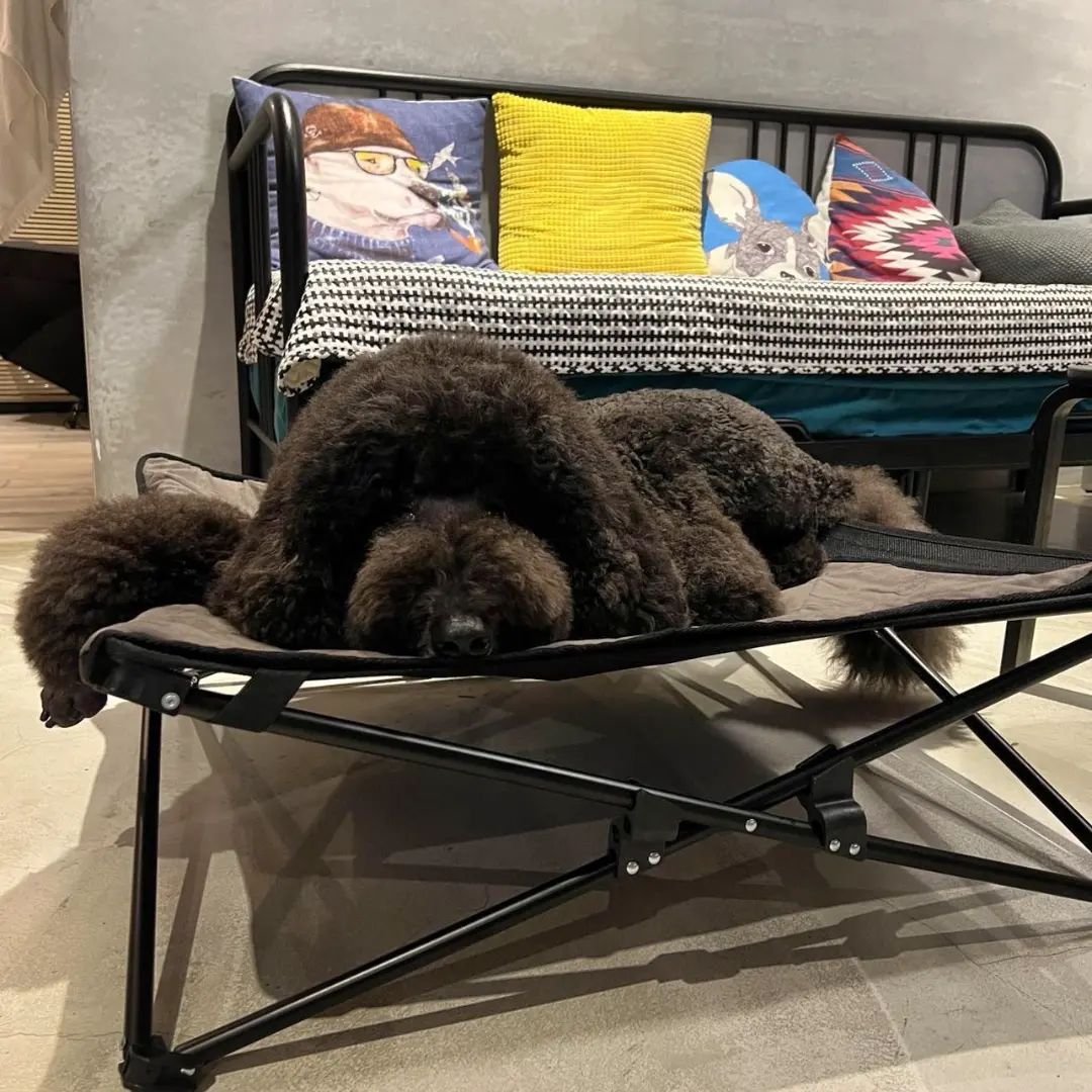 277770388_153500227134869_8281179539037873334_n