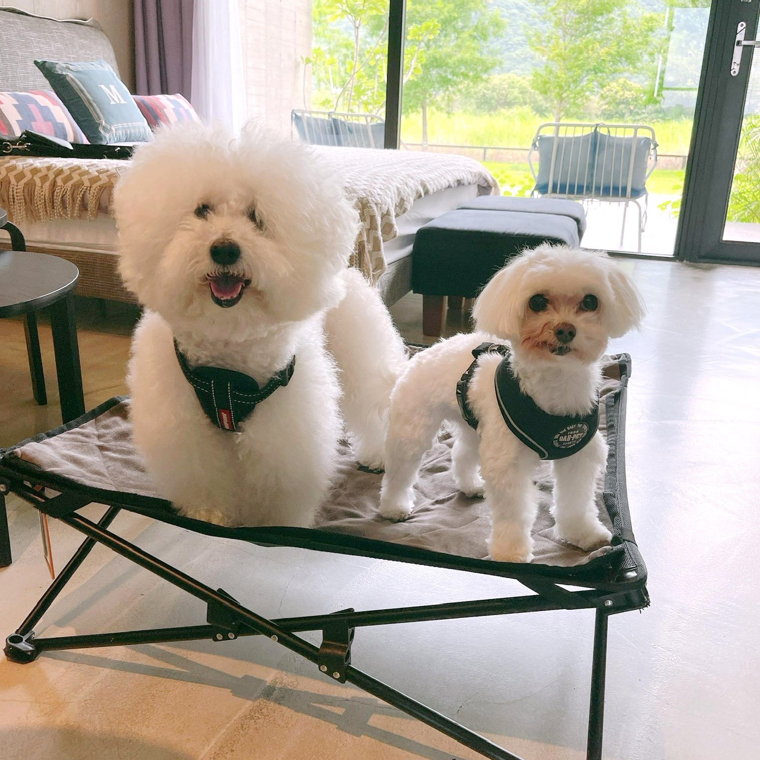 71115892.3ccb54a44ea4f723146169e3921786c4.22070409