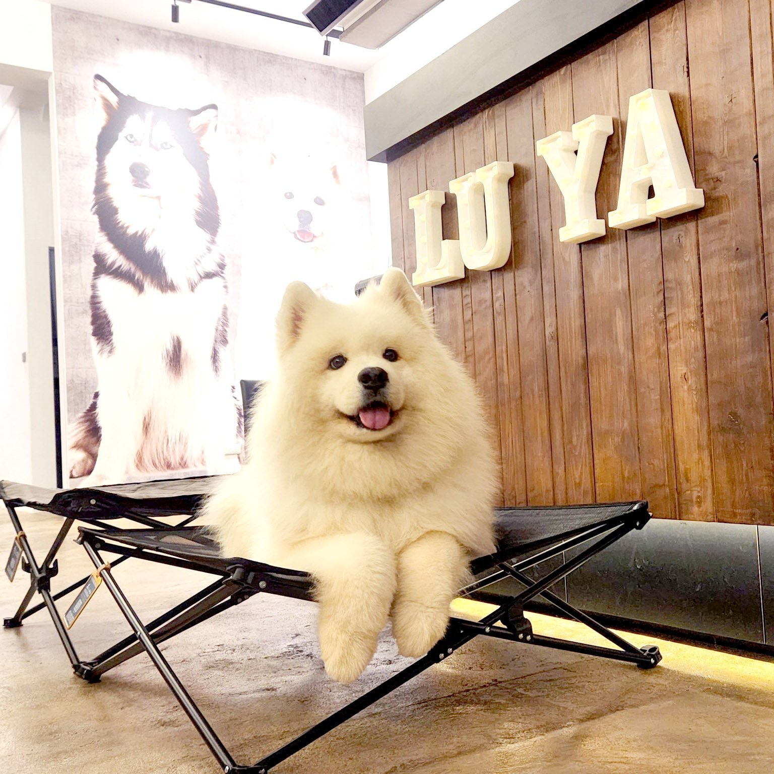 71115892.4eacf88ba40e0985527a19f2850ee95d.22060913