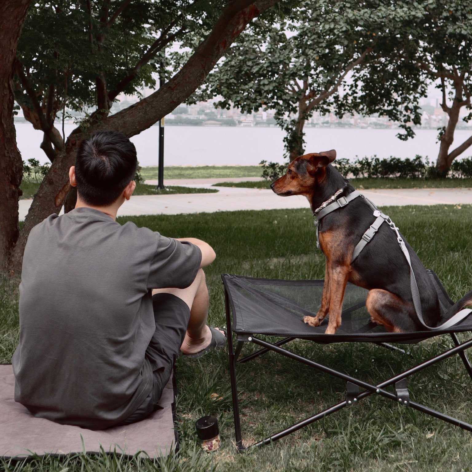 {"ARInfo":{"IsUseAR":false},"Version":"1.0.0","MakeupInfo":{"IsUseMakeup":false},"FaceliftInfo":{"IsChangeEyeLift":false,"IsChangeFacelift":false,"IsChangePostureLift":false,"IsChangeNose":false,"IsChangeFaceChin":false,"IsChangeMouth":false,"IsChangeThinFace":false},"BeautyInfo":{"SwitchMedicatedAcne":false,"IsAIBeauty":false,"IsBrightEyes":false,"IsSharpen":false,"IsOldBeauty":false,"IsReduceBlackEyes":false},"HandlerInfo":{"AppName":2},"FilterInfo":{"IsUseFilter":false}}