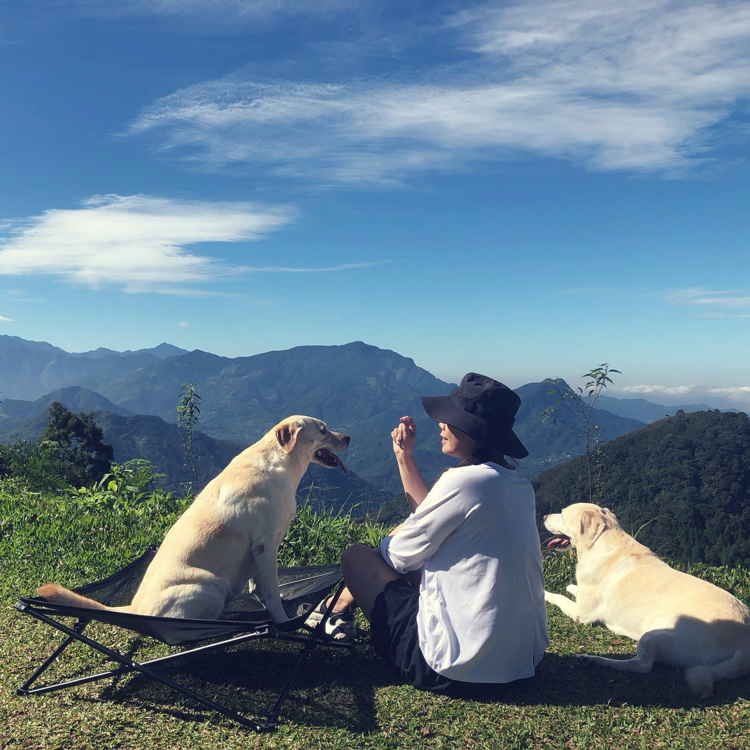 Processed with Rookie Cam