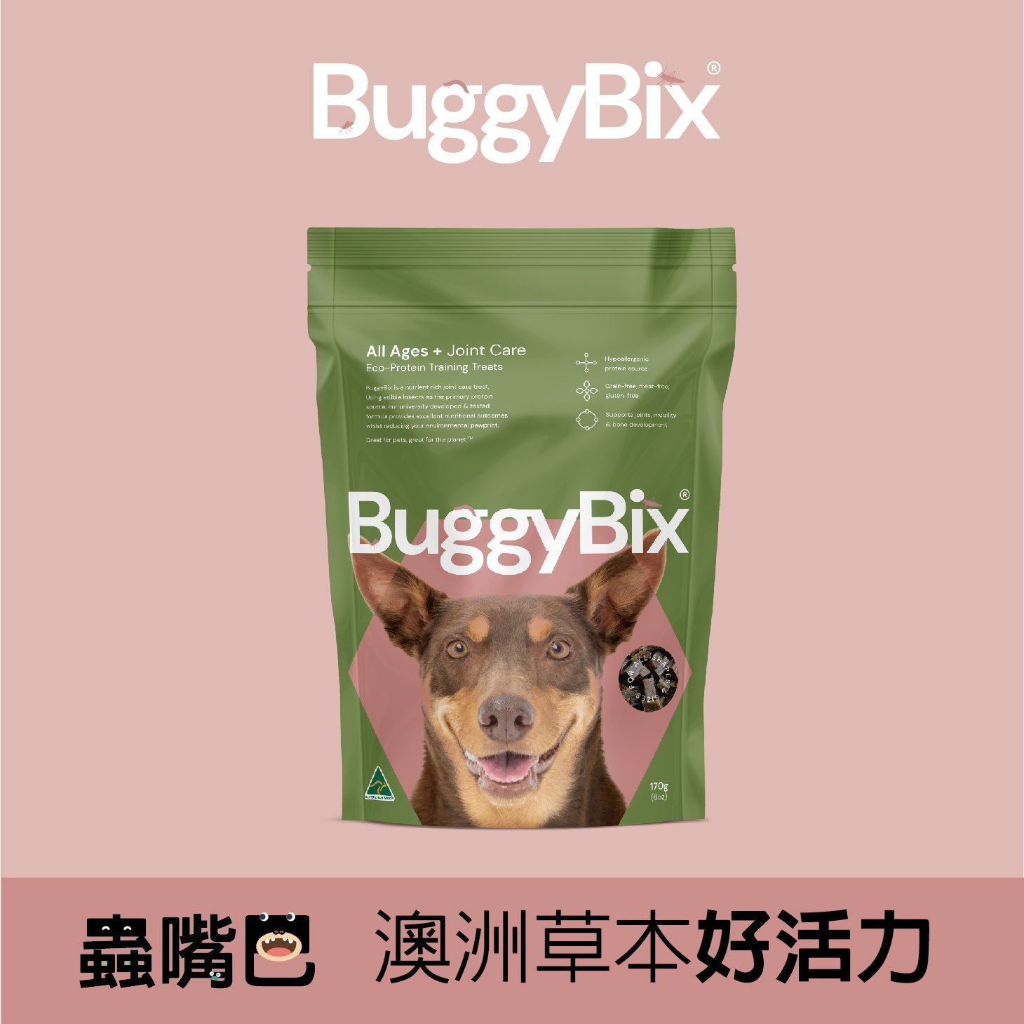 蟲嘴巴產品照_工作區域 1 複本 4