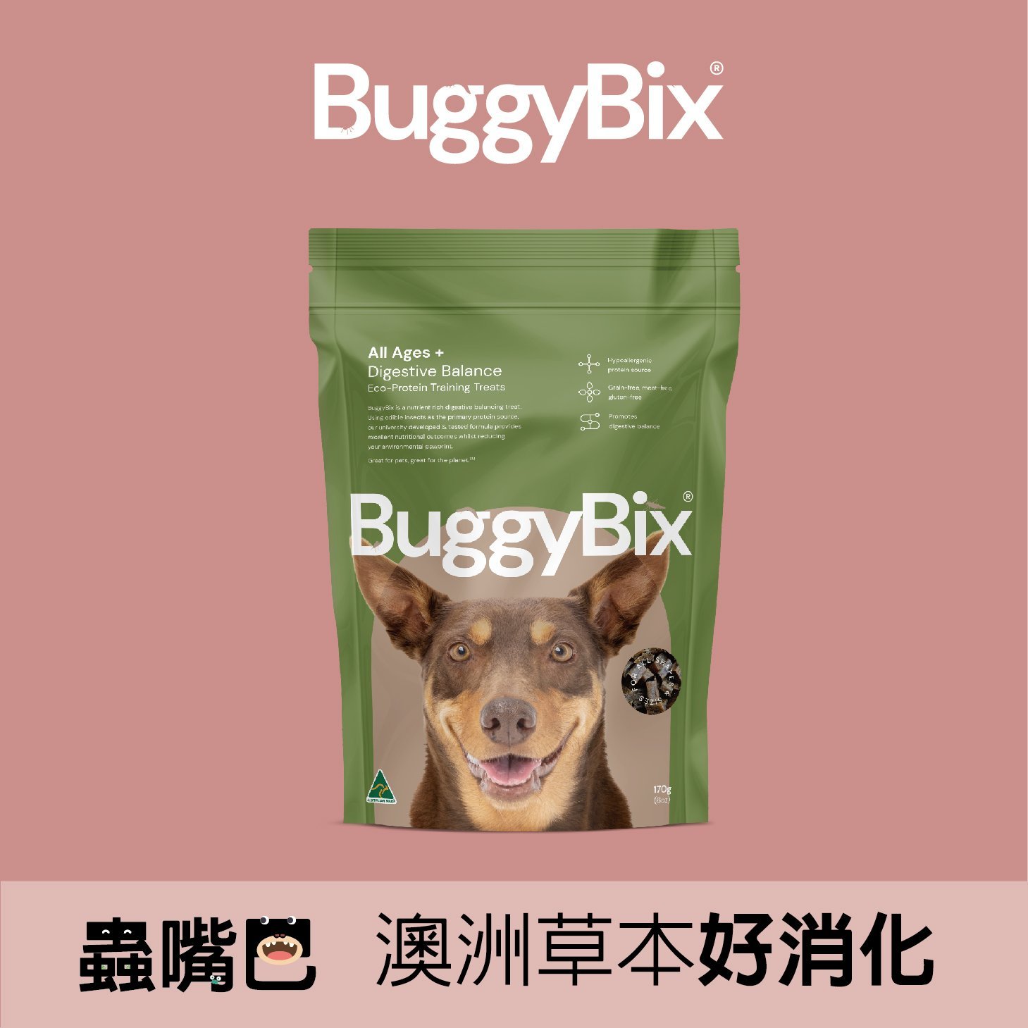 蟲嘴巴產品照_工作區域 1 複本