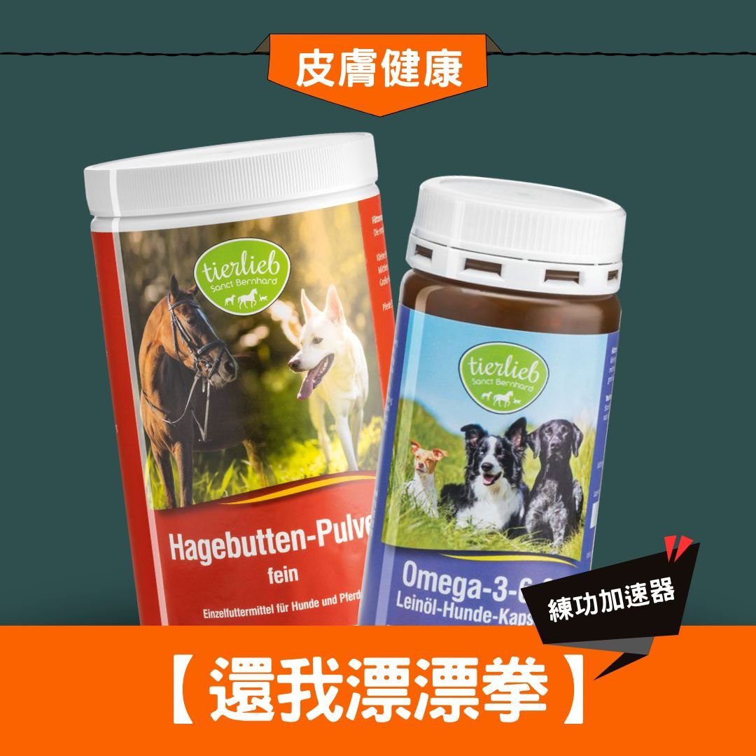 xr:d:DAGBJx1kBxo:113,j:1345874897761597139,t:24041106