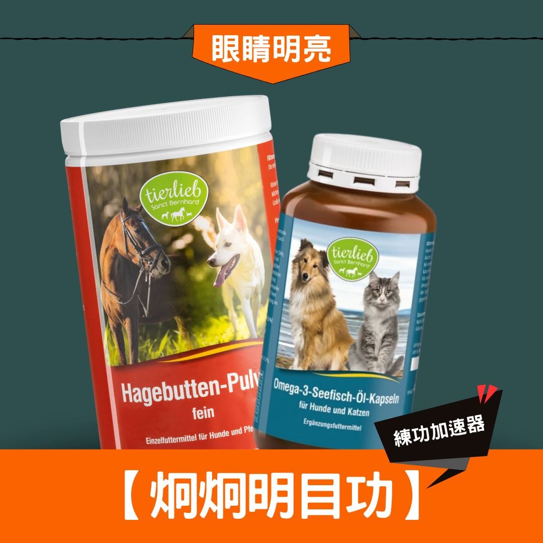 xr:d:DAGBJx1kBxo:113,j:1345874897761597139,t:24041106