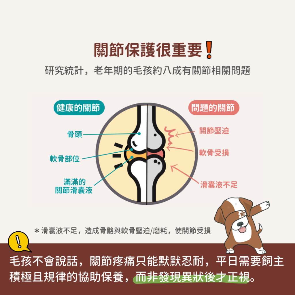 動物好朋友｜德國百年藥草之家【狗馬用｜骨骼關節】MSM關節加強錠 關節術後保養 甲基硫醯基甲烷支持軟骨韌帶健康