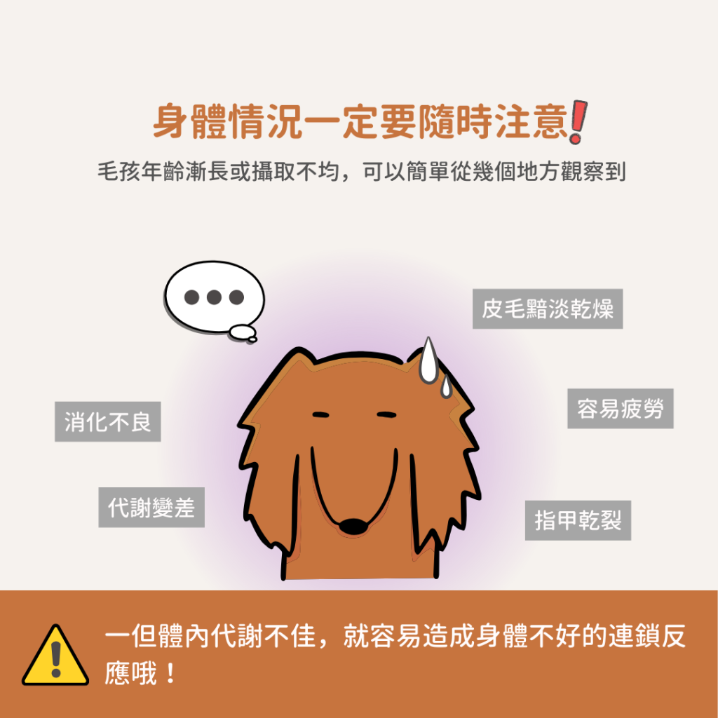 動物好朋友｜德國百年藥草之家【狗貓馬用｜腸胃消化】啤酒酵母錠 寵物界挖咖摸豆 幫助消化 維持消化道機能