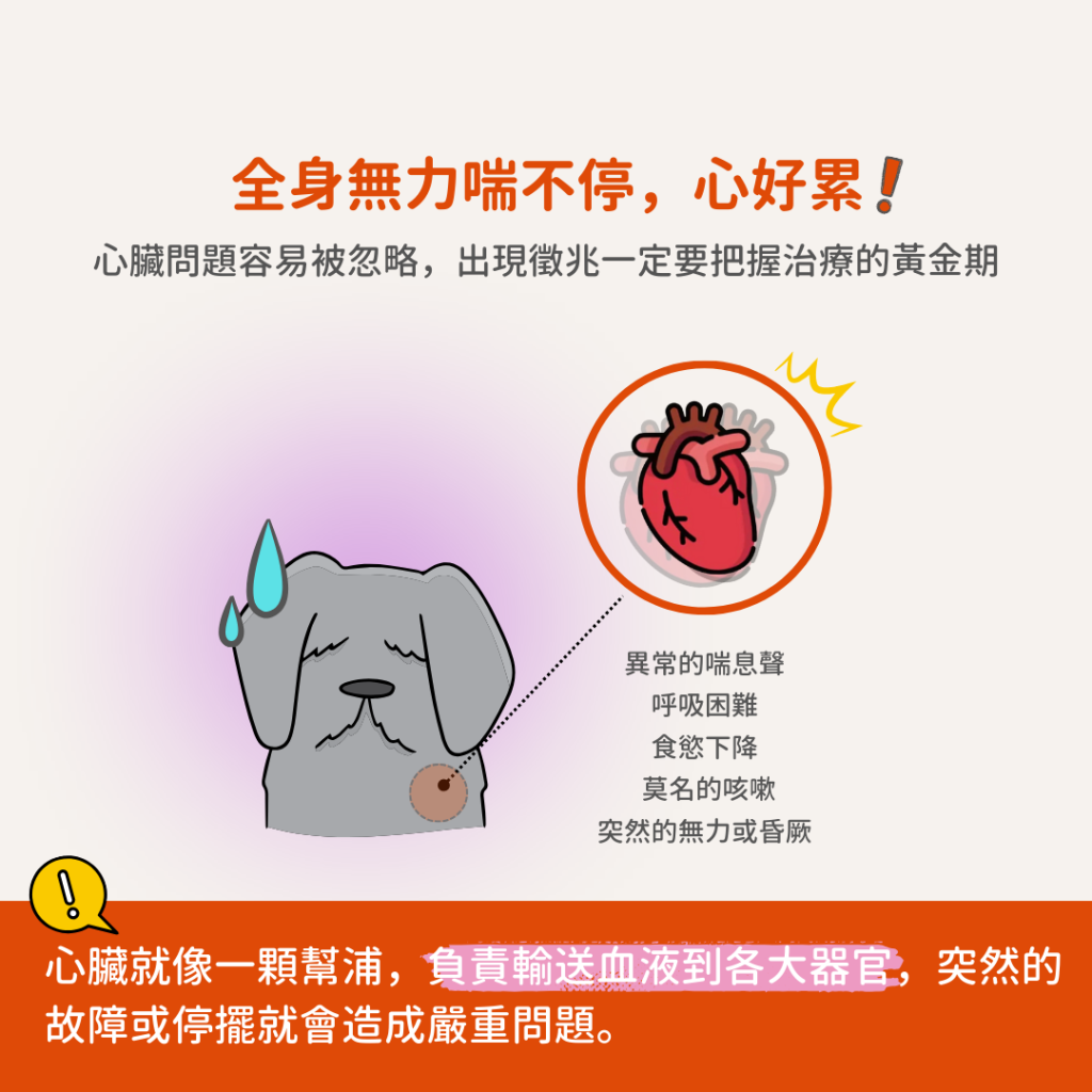 動物好朋友｜德國百年藥草之家【狗用｜心臟心血管】心血管保養錠 心臟保健 左旋肉鹼與牛磺酸 可搭配魚油維持心血管健康