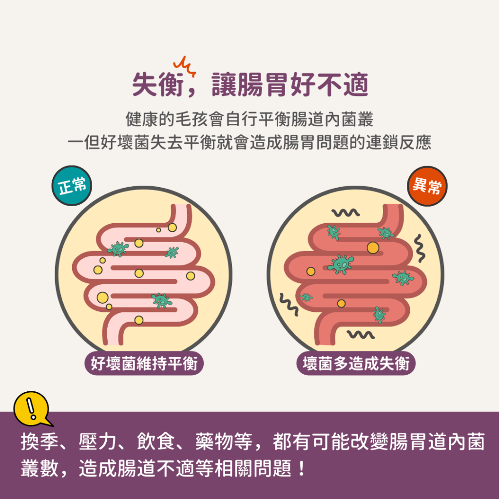 動物好朋友｜德國百年藥草之家【狗用｜腸胃消化】腸道機能益生元粉 腸胃道保健 天然草本益生元與益生菌 附白色量匙