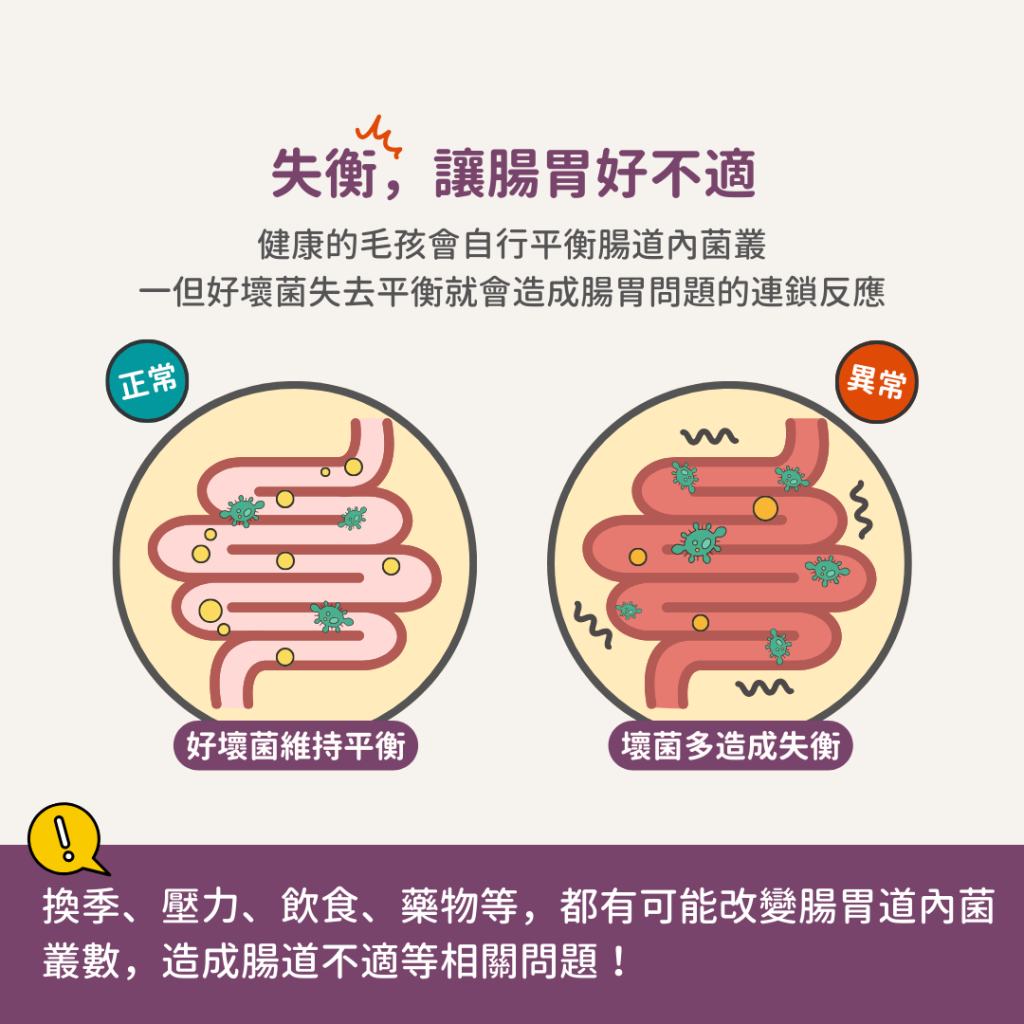 動物好朋友｜德國百年藥草之家【貓用｜腸胃消化】腸道機能益生元膠囊 腸胃道保健 天然草本益生元與益生菌