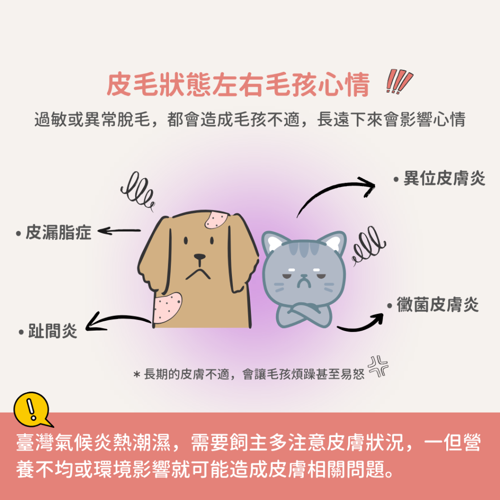 動物好朋友｜德國百年藥草之家【狗貓用｜皮膚毛髮】大西洋深海鮭魚油 皮毛保健 α-亞麻酸維持皮膚毛髮健康