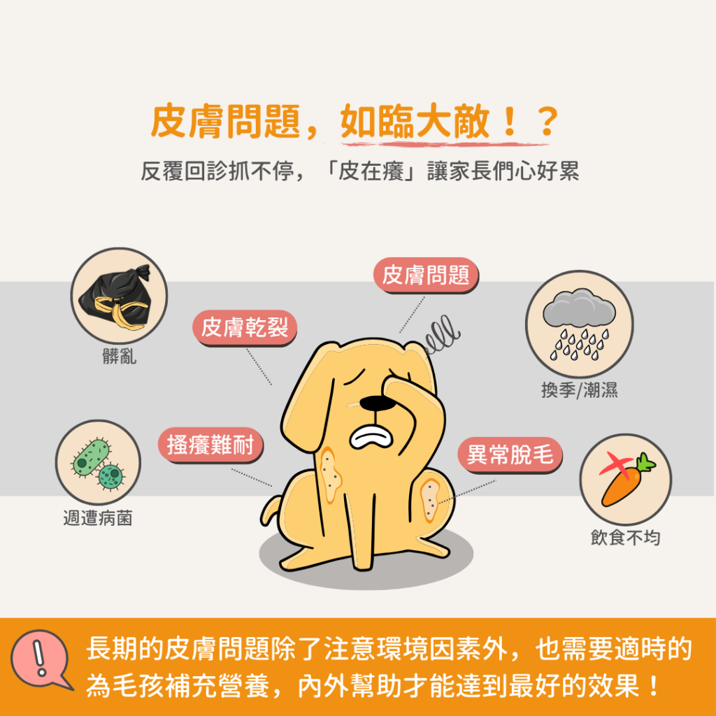 動物好朋友｜德國百年藥草之家【狗貓用｜皮膚毛髮】高純度皮膚滋養月見草油 γ-亞麻油酸 濕疹、異位性皮膚炎