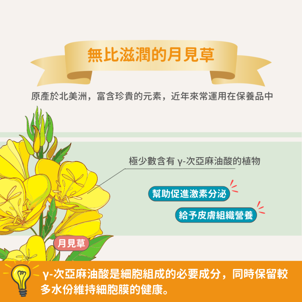 動物好朋友｜德國百年藥草之家【狗貓用｜皮膚毛髮】高純度皮膚滋養月見草油 γ-亞麻油酸 濕疹、異位性皮膚炎