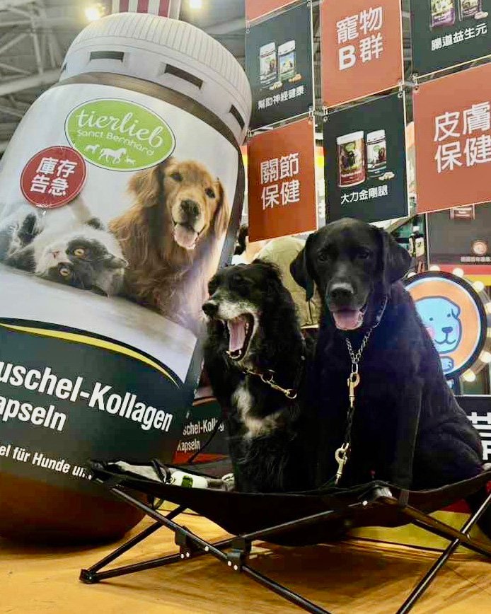 att.WQ61pWQIoUWzxglBqGFXmCU_9Ya6UgKIJJ0TqibvuIs