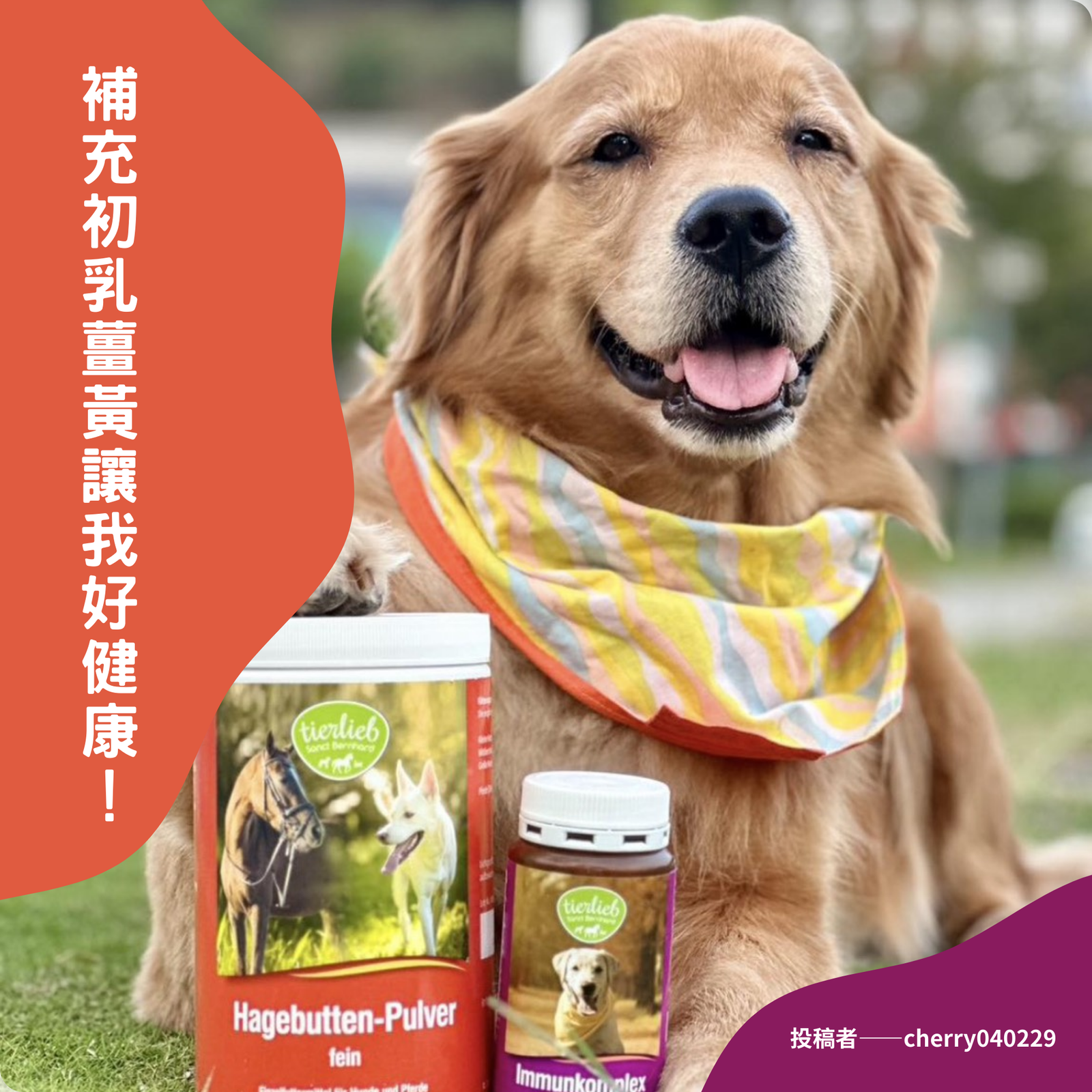 官網好評 (6)